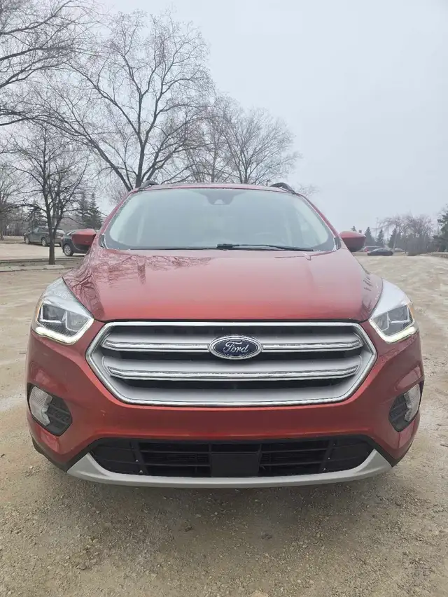 2019 Ford Escape SEL