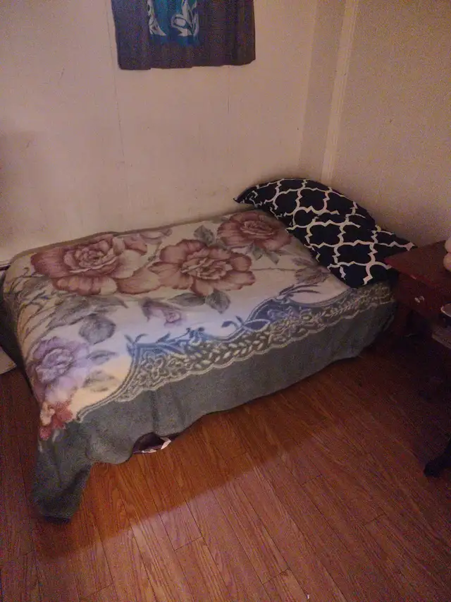 furnished room in bright basement in Markham