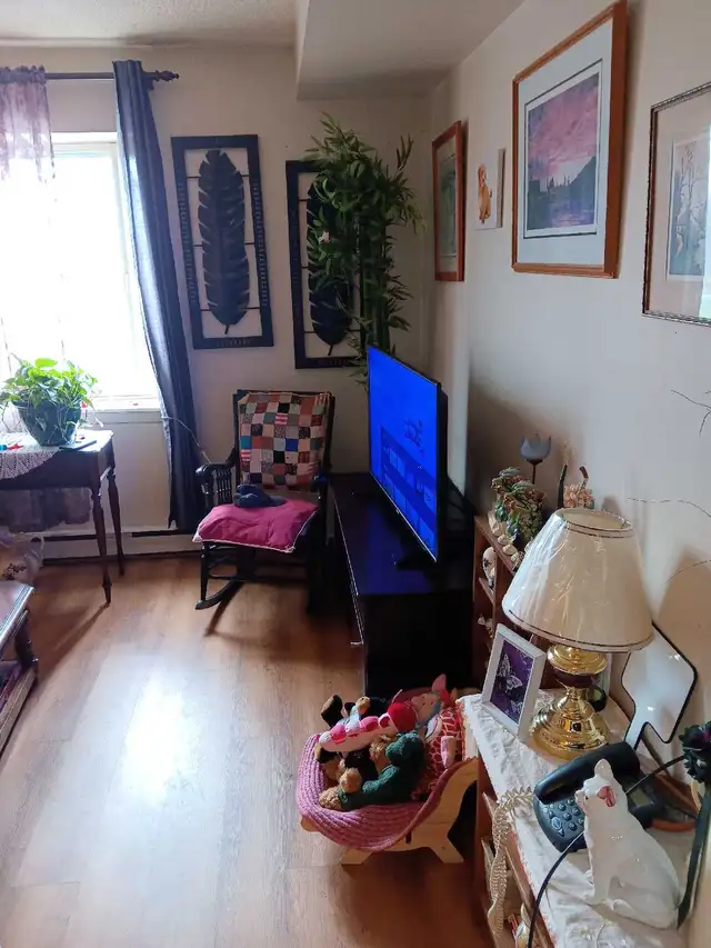 Furnished 1-bedroom - Photo 2