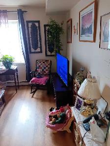 Furnished 1-bedroom - Photo 2