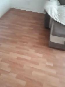 Appartement - Photo 5