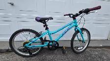 CCM girl's bike
