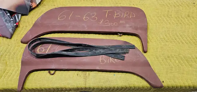 Thunderbird fender skirts