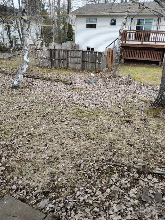 Need leaves raked in backyard.