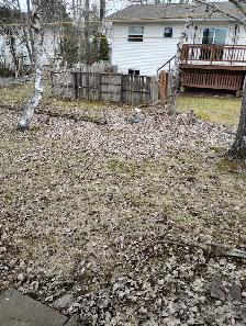 Need leaves raked in backyard.