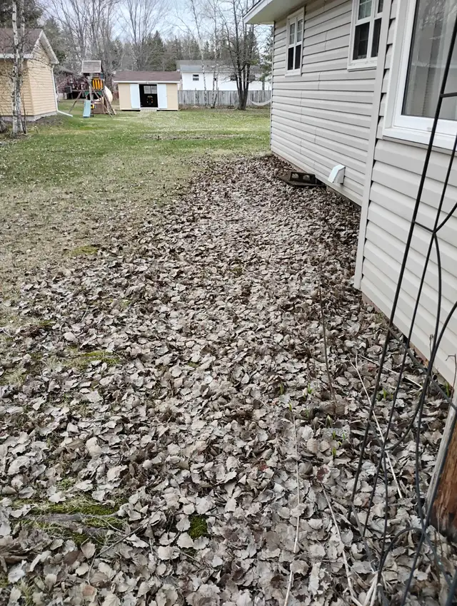 Need leaves raked in backyard. - Photo 2