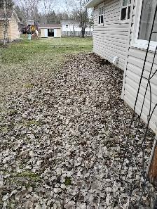 Need leaves raked in backyard. - Photo 2