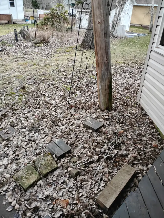 Need leaves raked in backyard. - Photo 3
