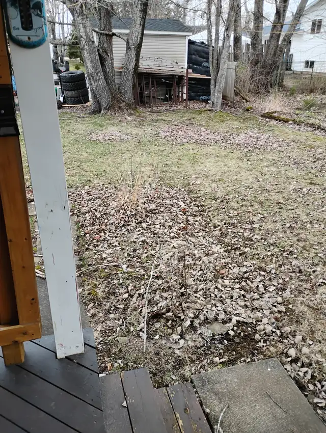 Need leaves raked in backyard. - Photo 4