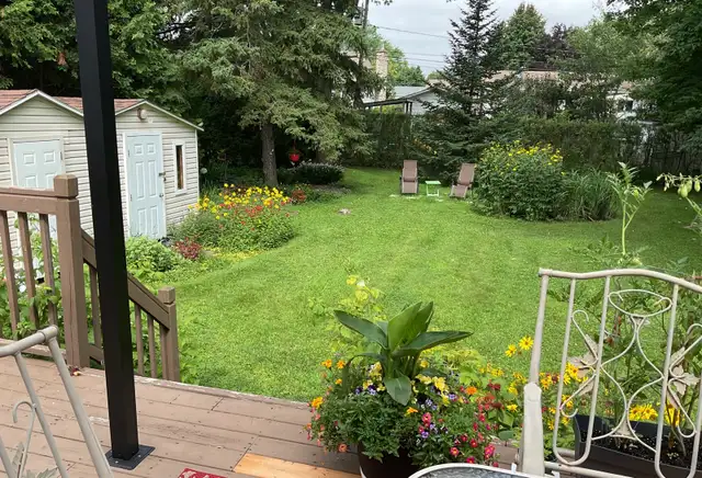 ✨ Magnifique 4 1/2 Rez-de-chaussée avec grande cour et sous-sol - Photo 3