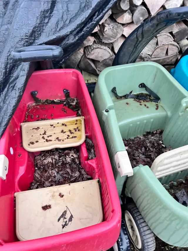 outdoor riding toys - Photo 4