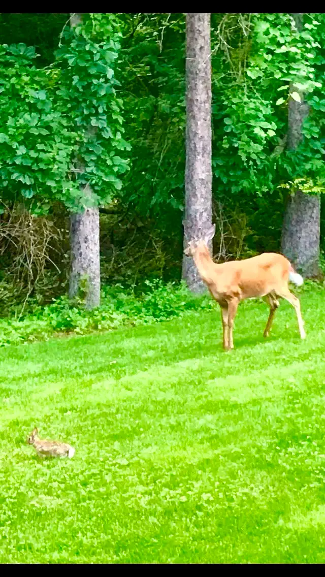 68 Havenwood Way - Photo 10