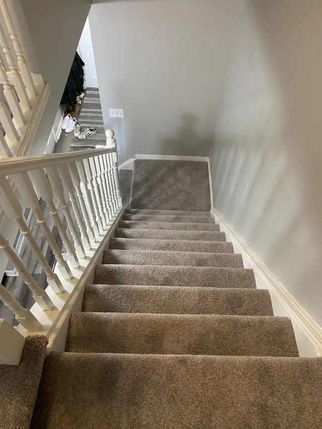 Carpet Sales, Installation & Repairs – Residential / Commercial - Photo 8