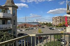1 Bed , 1 bath apartment - Photo 3
