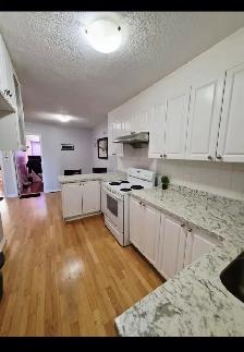 Spacious Private Bedroom for Rent – (Near GO & TTC) $850 - Photo 4