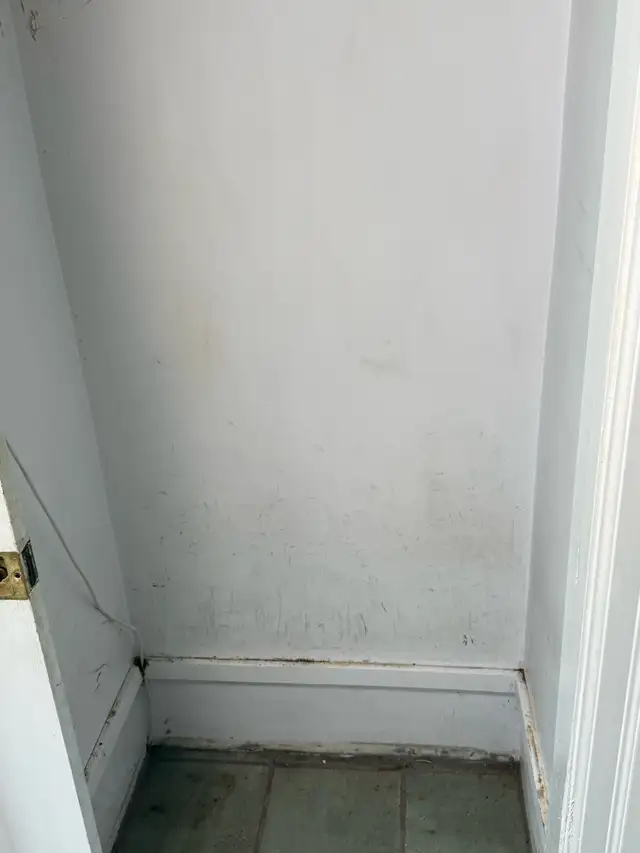 Professional House Painting – Ndreufix (Hamilton) - Photo 5