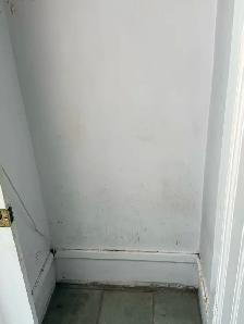 Professional House Painting – Ndreufix (Hamilton) - Photo 5