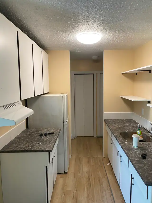 Large, Bright, Renovated 2 BDR Apartment Available May 1 - Photo 2