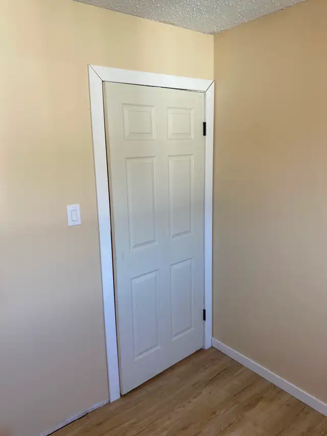 Large, Bright, Renovated 2 BDR Apartment Available May 1 - Photo 3