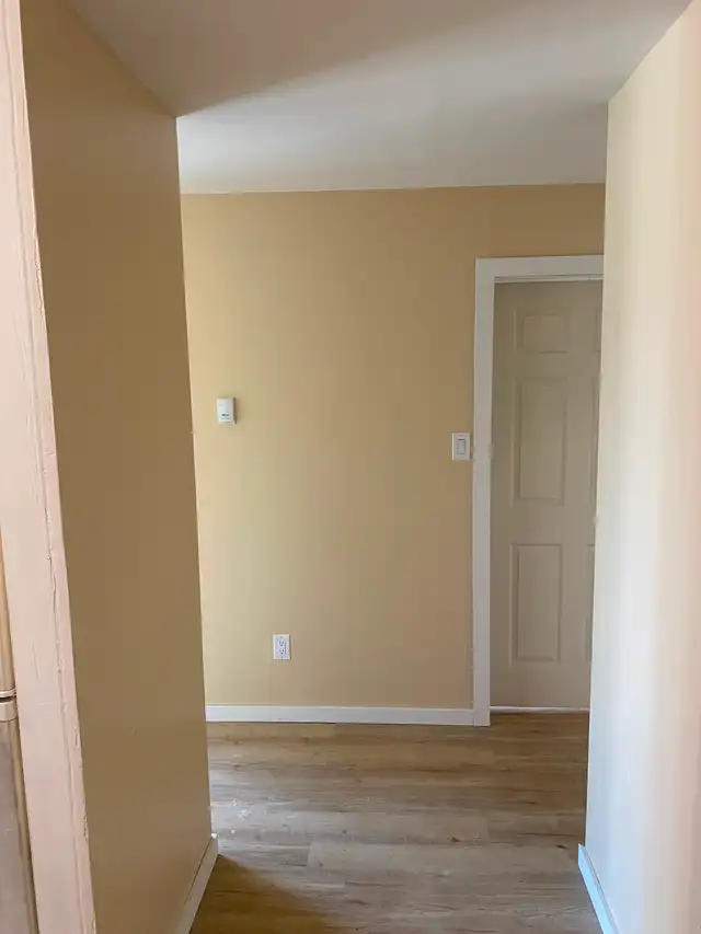 Large, Bright, Renovated 2 BDR Apartment Available May 1 - Photo 4