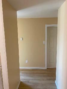 Large, Bright, Renovated 2 BDR Apartment Available May 1 - Photo 4