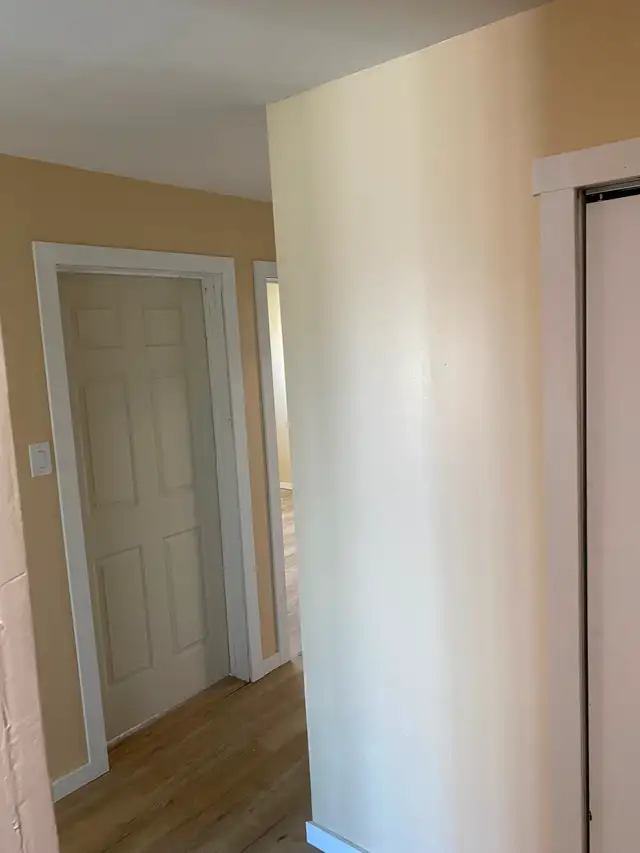 Large, Bright, Renovated 2 BDR Apartment Available May 1 - Photo 5