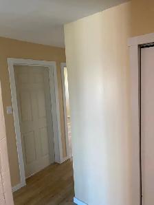 Large, Bright, Renovated 2 BDR Apartment Available May 1 - Photo 5
