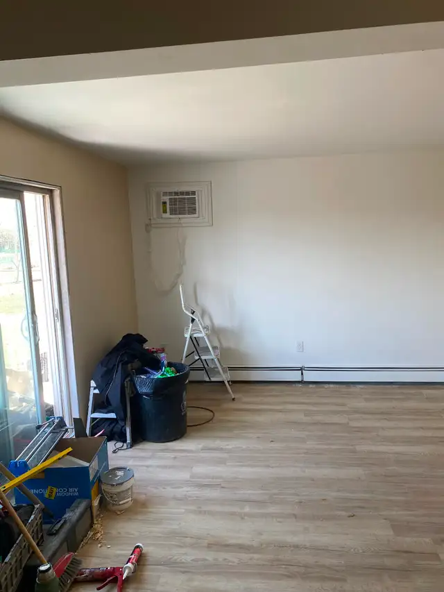 Large, Bright, Renovated 2 BDR Apartment Available May 1 - Photo 6