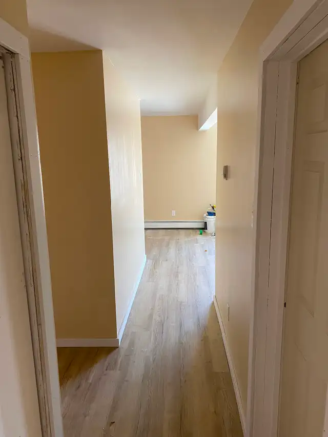 Large, Bright, Renovated 2 BDR Apartment Available May 1 - Photo 7