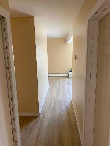Large, Bright, Renovated 2 BDR Apartment Available May 1 - Photo 7