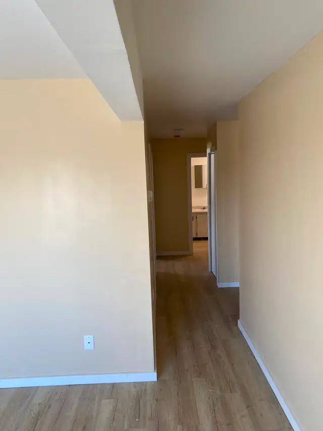 Large, Bright, Renovated 2 BDR Apartment Available May 1 - Photo 8