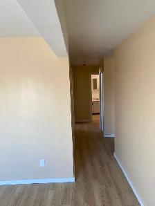 Large, Bright, Renovated 2 BDR Apartment Available May 1 - Photo 8