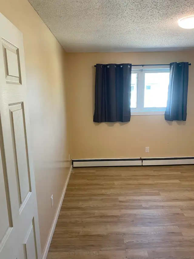 Large, Bright, Renovated 2 BDR Apartment Available May 1 - Photo 10