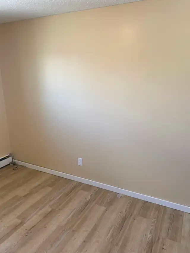 Large, Bright, Renovated 2 BDR Apartment Available May 1 - Photo 11