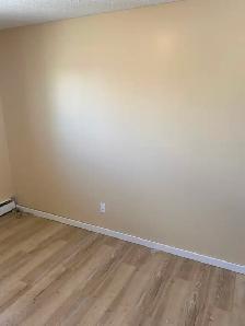 Large, Bright, Renovated 2 BDR Apartment Available May 1 - Photo 11