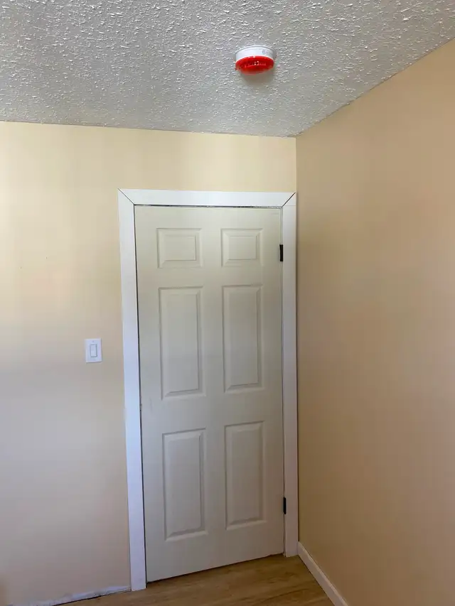 Large, Bright, Renovated 2 BDR Apartment Available May 1 - Photo 12