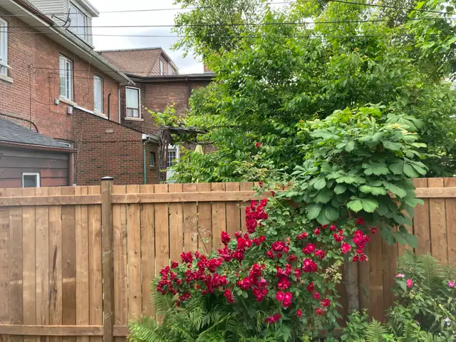 $55/Linear Foot Fencing (6x6 Posts) - Photo 3