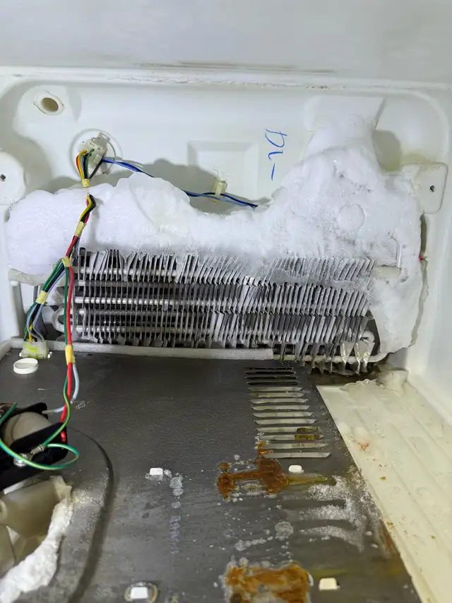 Fridge Repair – GTA (Same Day Service) - Photo 3