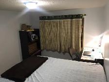 Rooms available for Rent in Oshawa in detached house upper floor - Photo 16