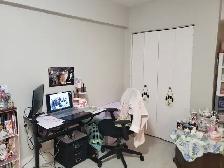 Westmount Studio – 6th Floor – $1,394, 12 Months Free Internet - Photo 3