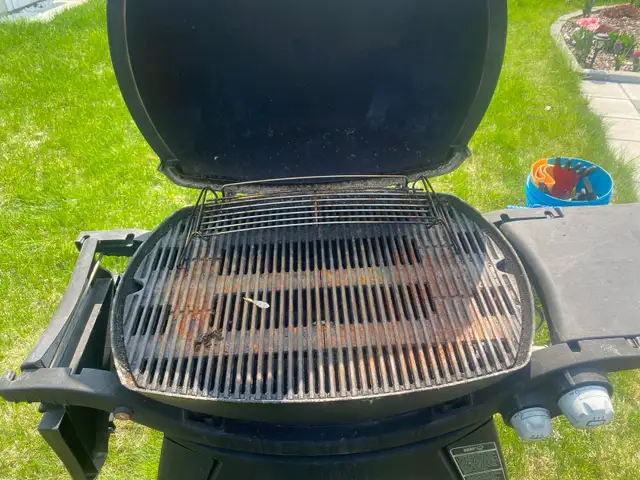 Hiring Cleaning Lady / General Helper (Seasonal) - Photo 2