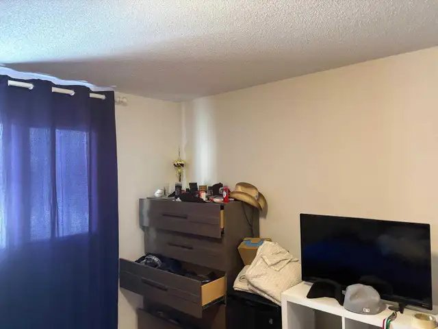 Appartement - Photo 3