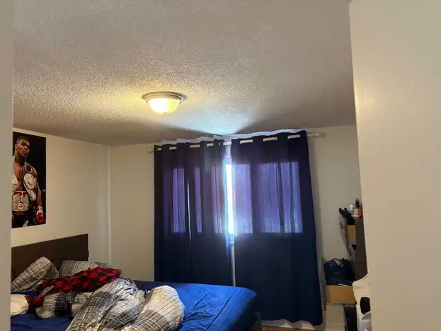 Appartement - Photo 5