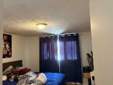 Appartement - Photo 5