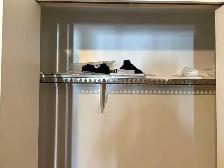 Appartement - Photo 6