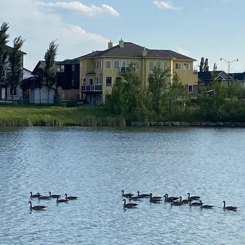 Bright, clean, Mainfloor 2 BR suite Liv room, on lake, All inclu - Photo 2