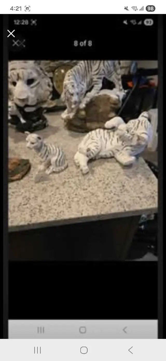 white tiger collection - Photo 8