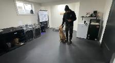 Dog Trainer Apprentice (Hands-On Role) - Photo 8