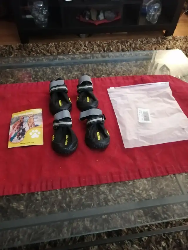 Qumy pet boots brand new