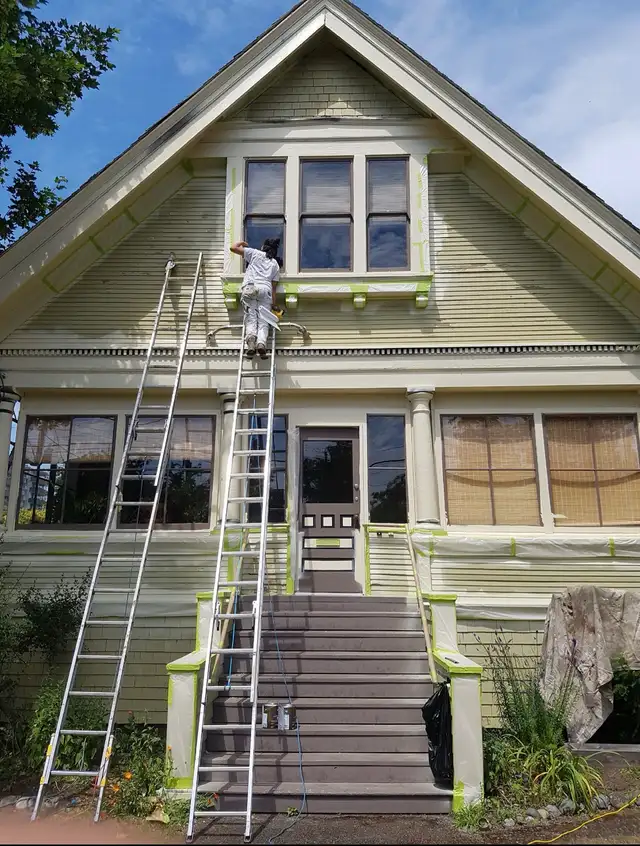 looking for student painters